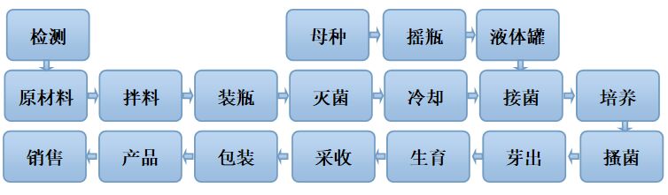 食用菌工廠化流程